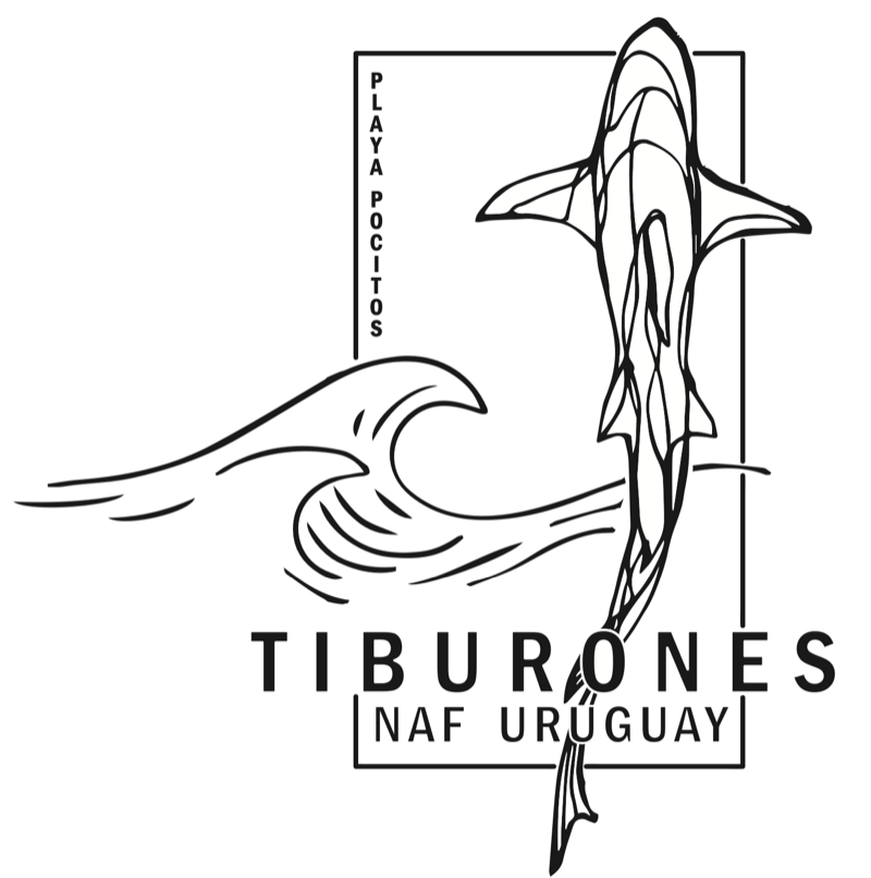 Tiburones Playa Pocitos